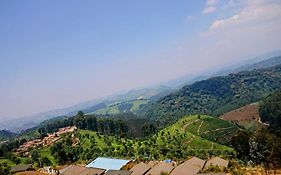 Nyungwe Village